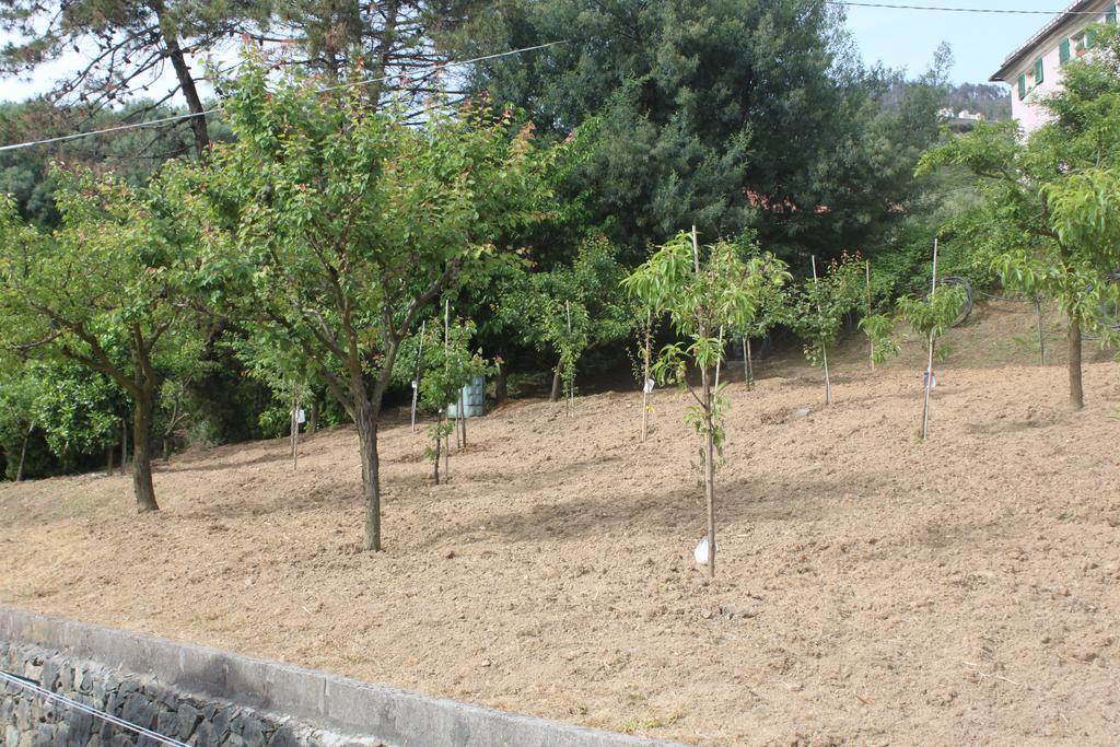 Le Ginestre Daire Levanto Oda fotoğraf